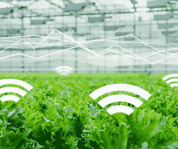 Smart Agriculture mit IoT-Lösungen